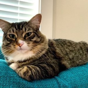 Meet your Posher, Nikki